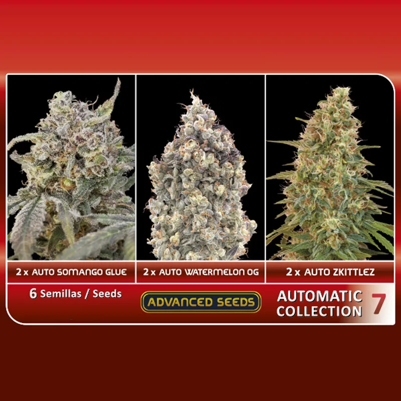 saltonverde2920169