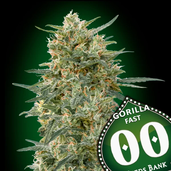 saltonverde2921417
