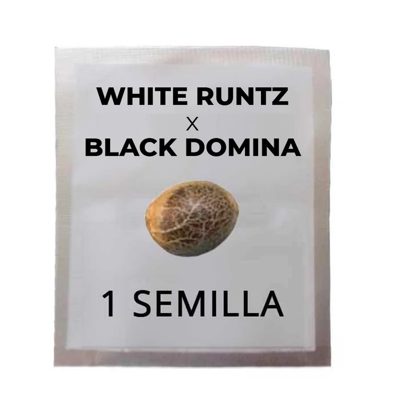 saltonverde2927685