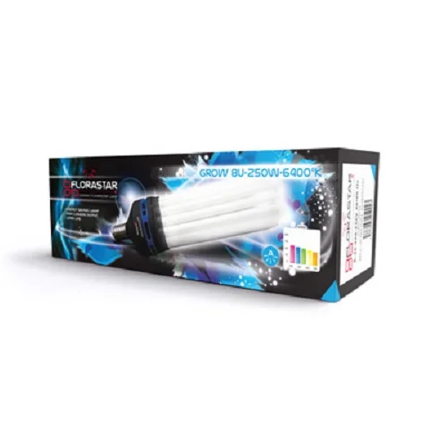 tchoukarshop2753877