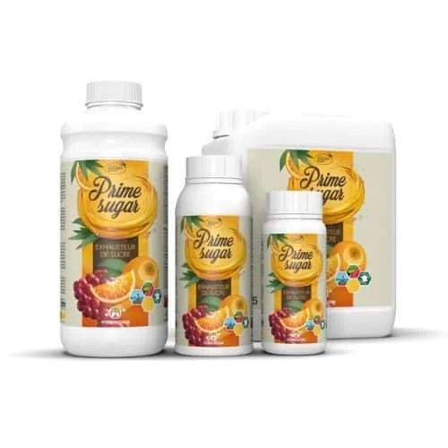 tchoukarshop2754191