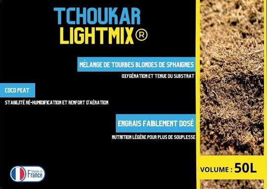 tchoukarshop2770278